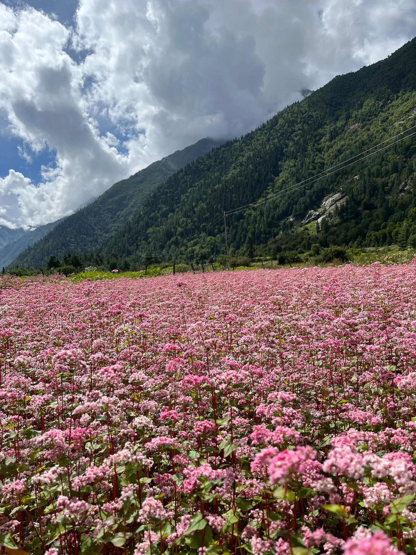 Photo from Vishal Sharma's trip