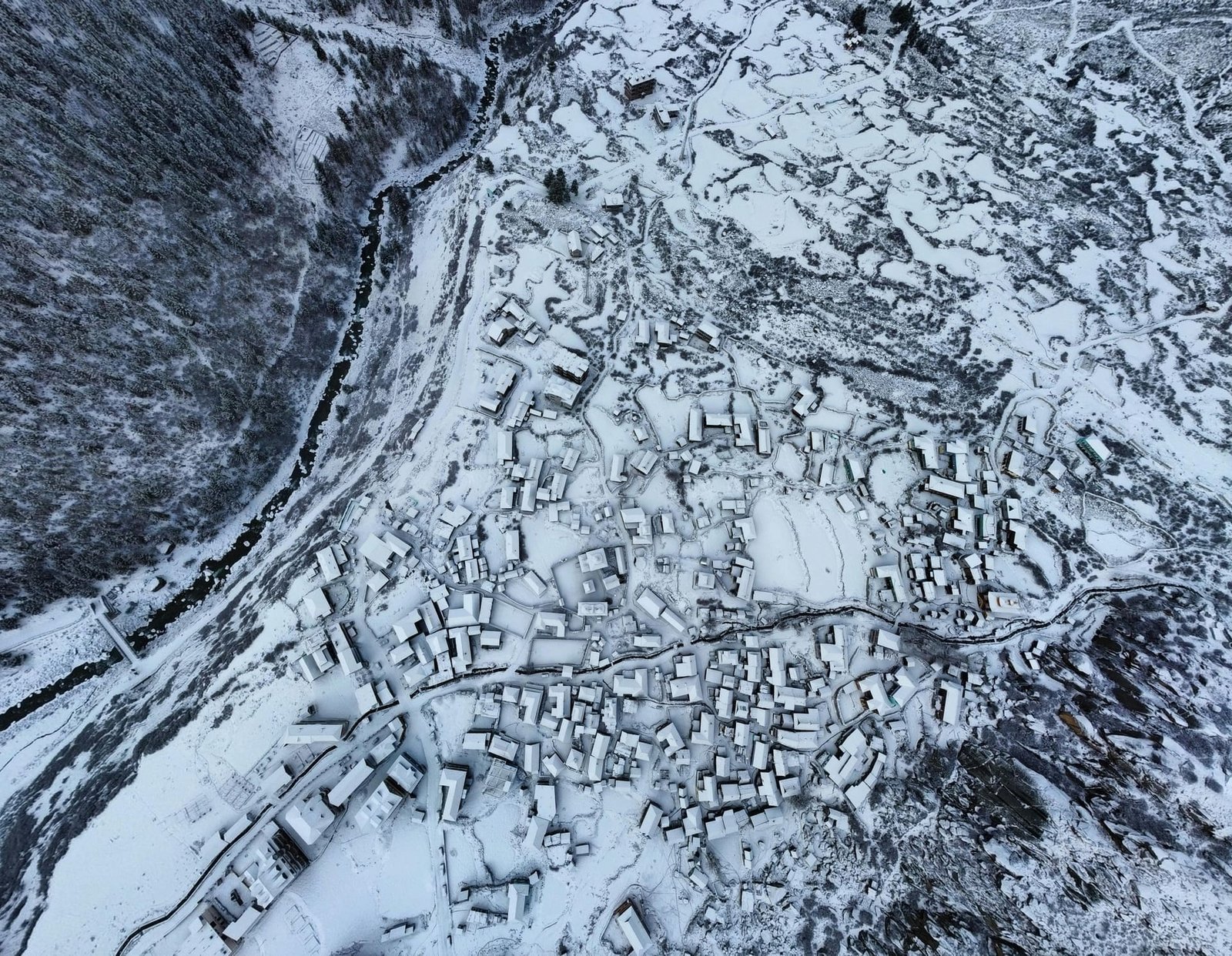 Kalpa, orchards below Kinner Kailash