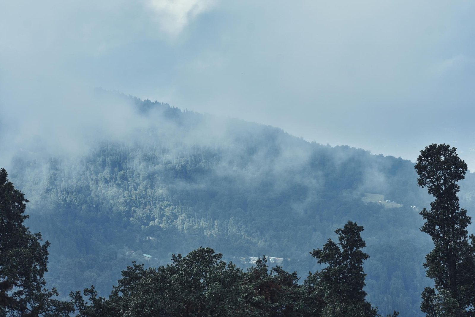 Old Manali lanes