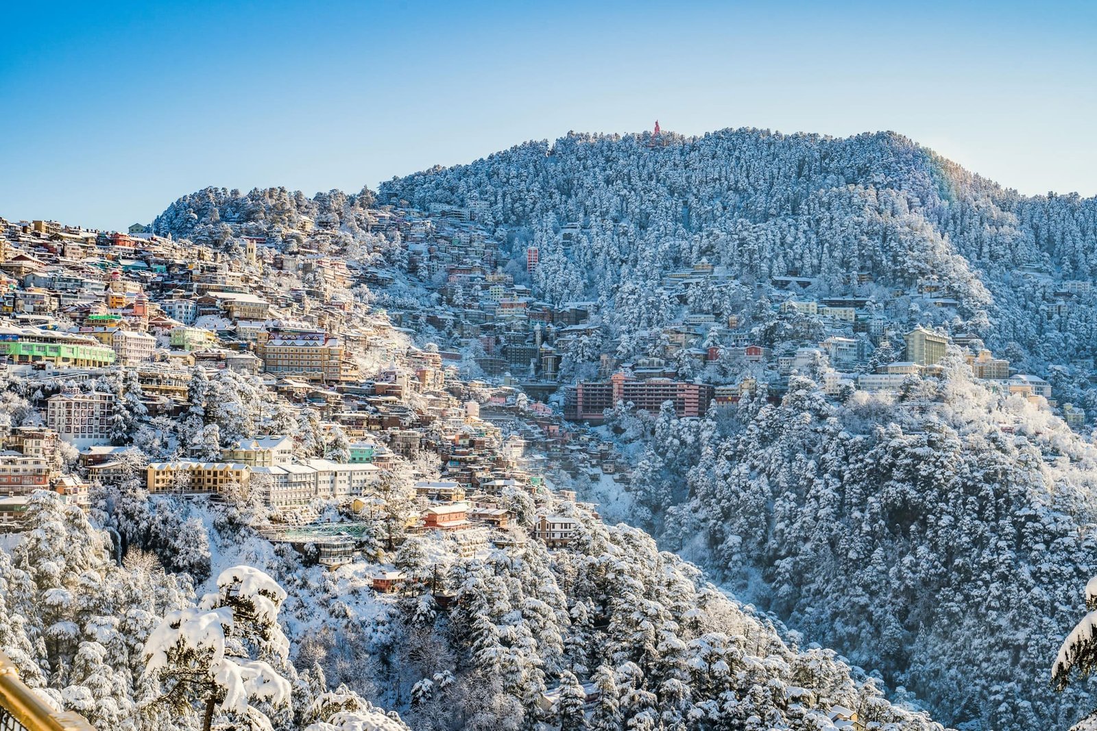 Shimla hillside, Himachal Pradesh