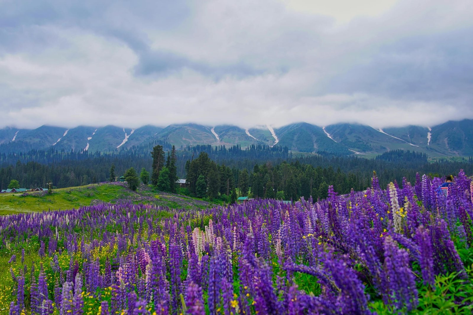 Pahalgam
