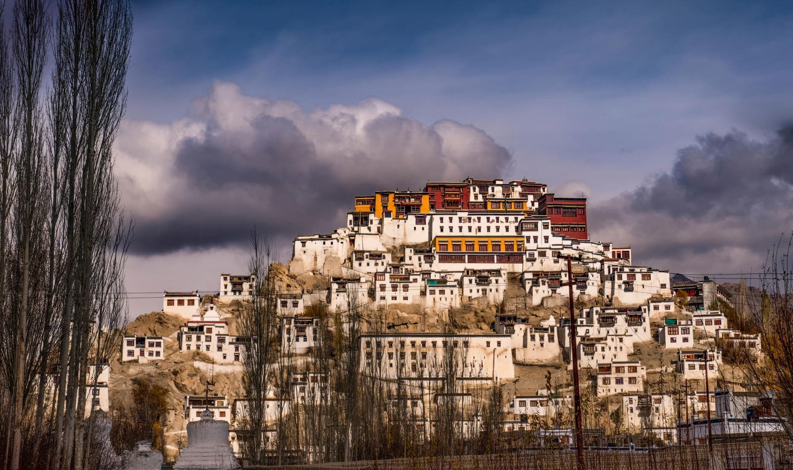 Leh Palace and Shanti Stupa