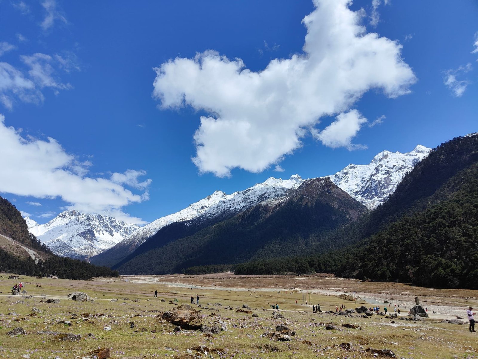 Yumthang Valley