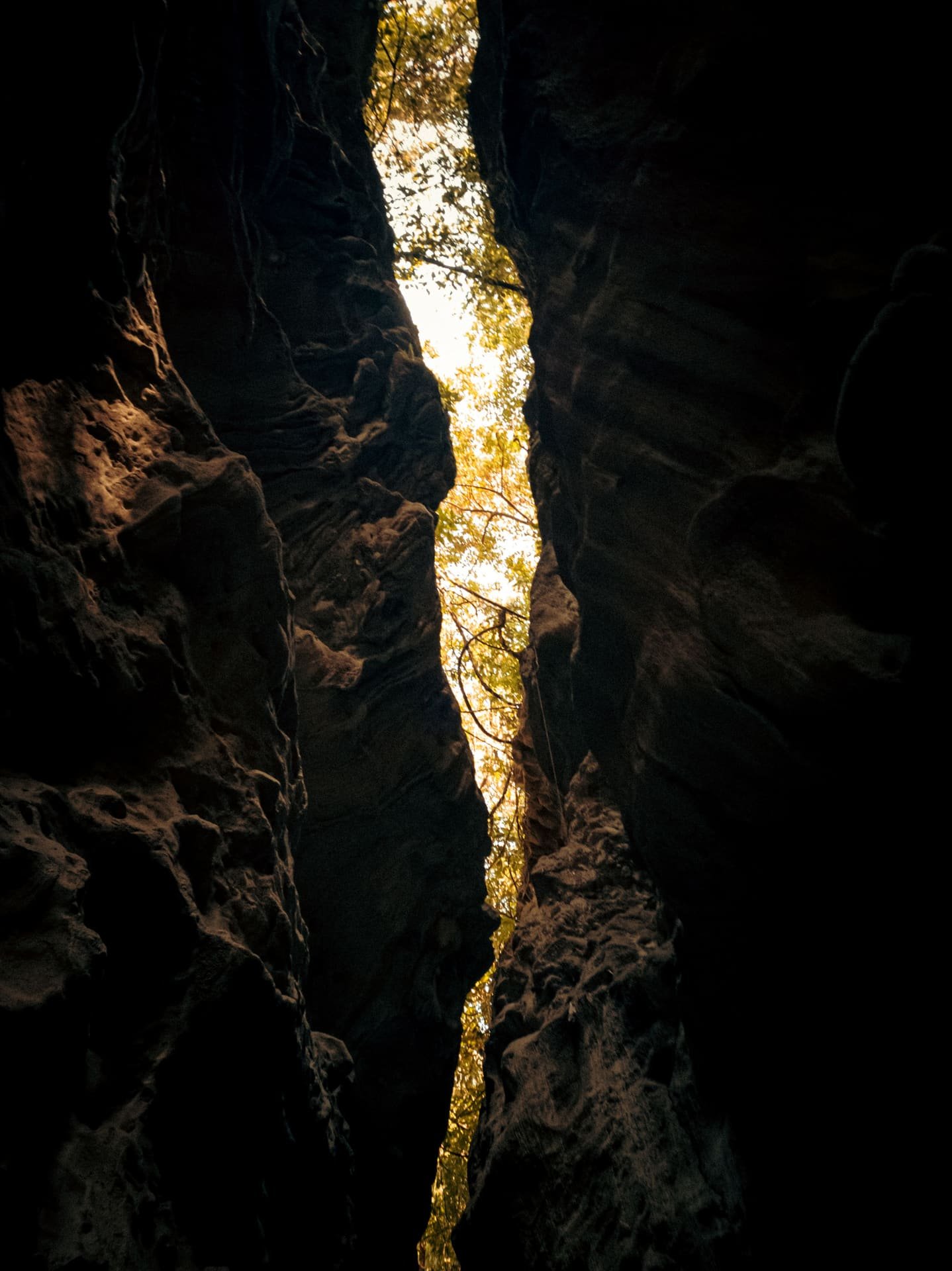 Robber's Cave, Dehradun