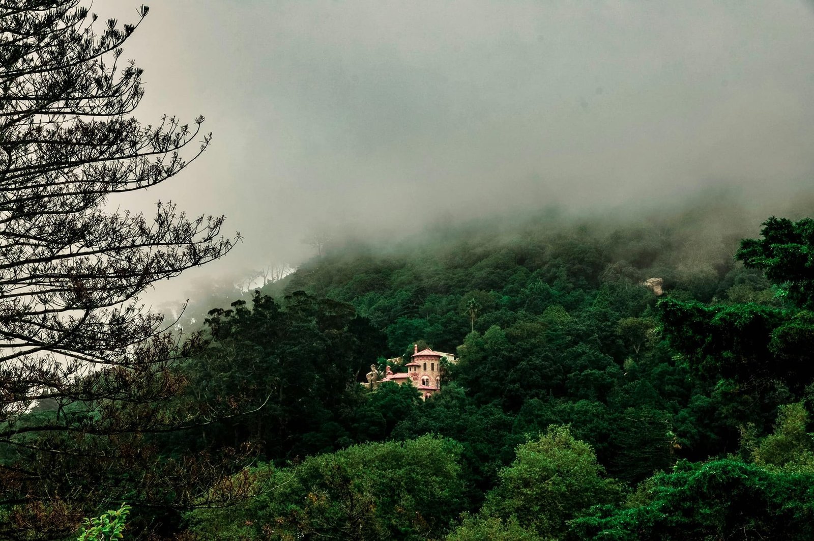 Rishikesh, on the Ganges