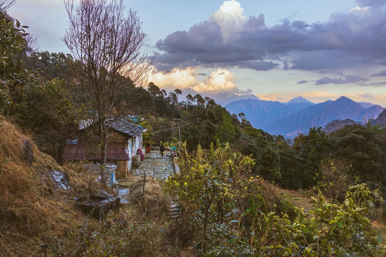 Auli ski slopes